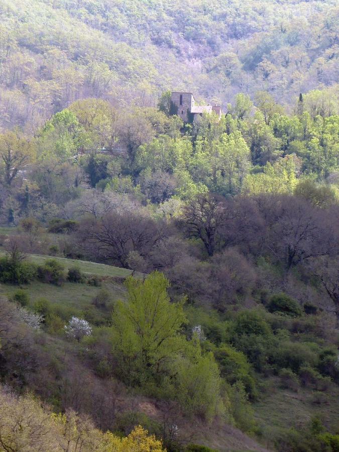 Apartamento Torre Di Pornello Exterior foto